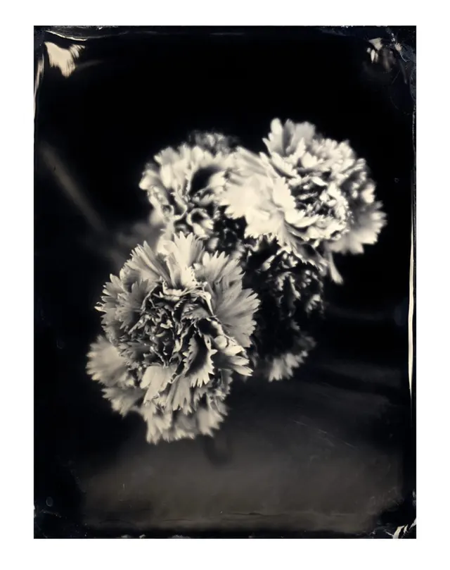 Untitled Ambrotype #29