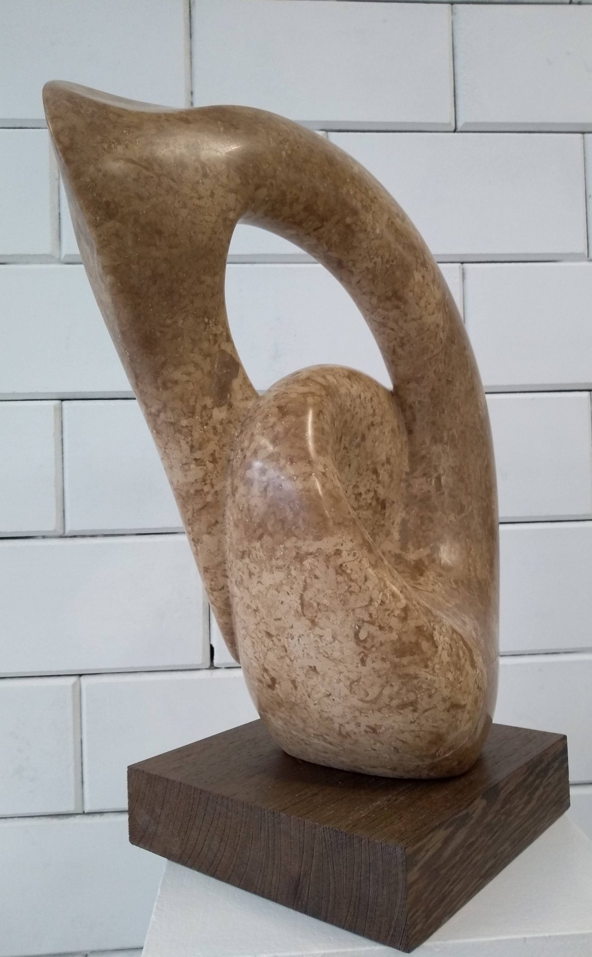 Pelican