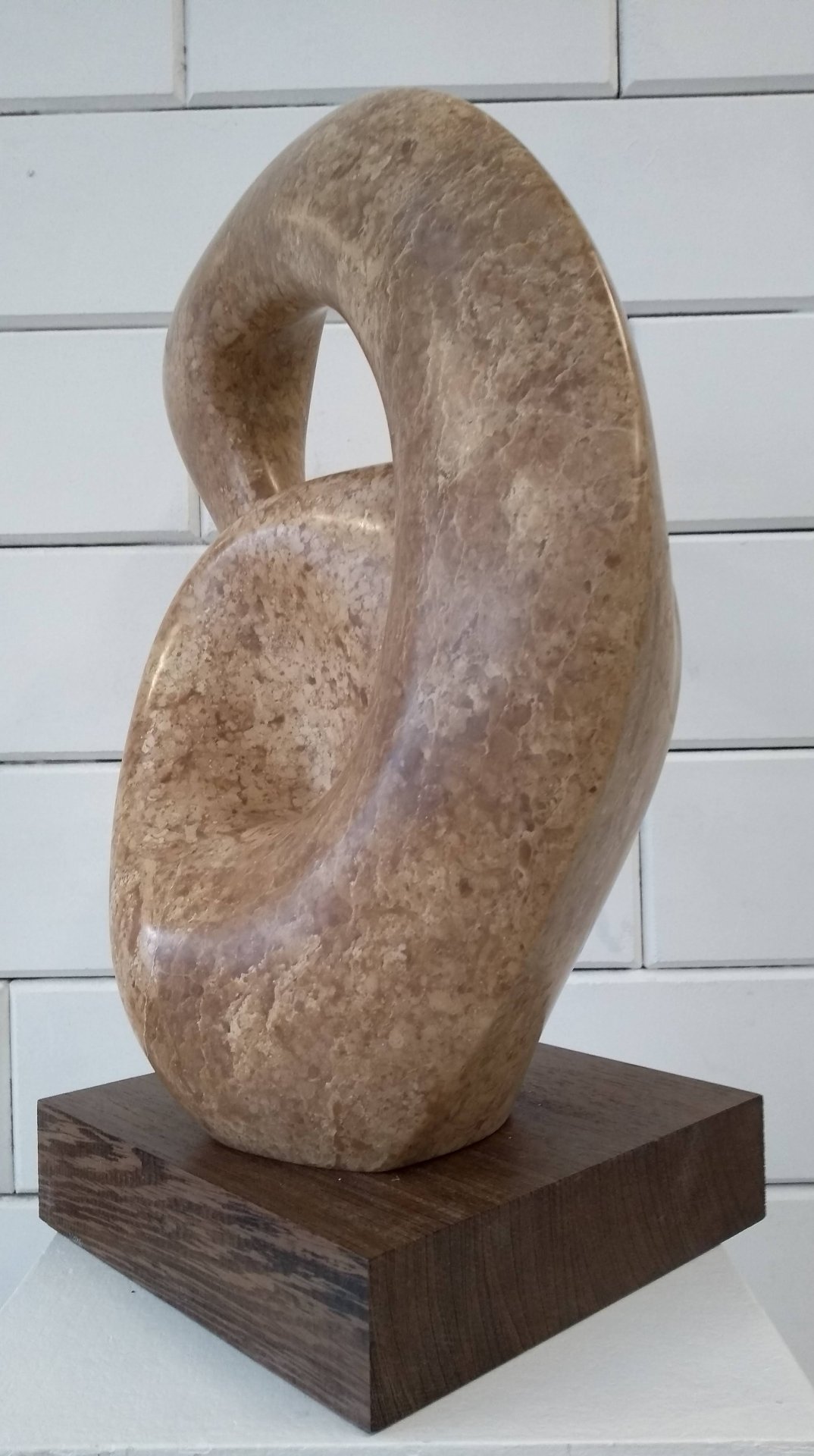 Pelican