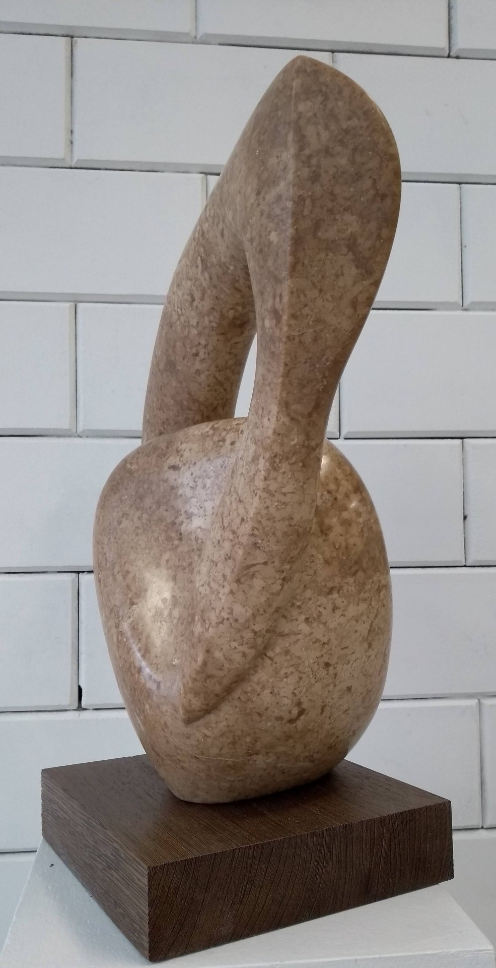 Pelican