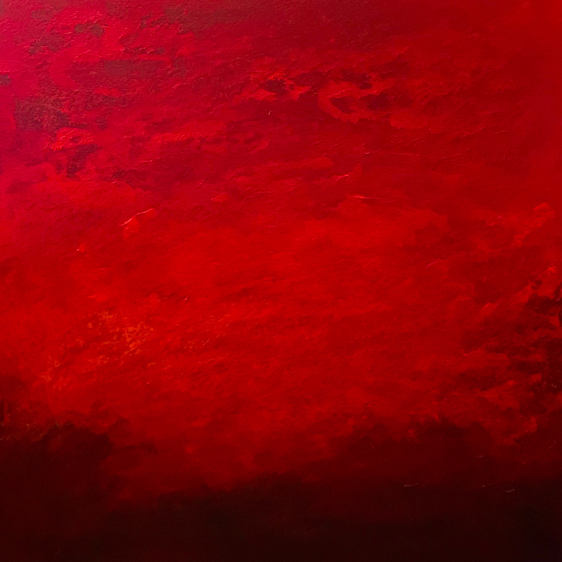 DS19019