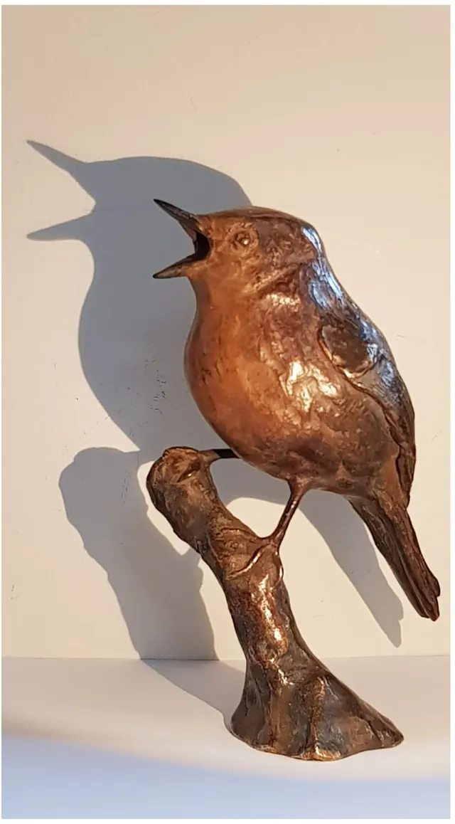 Robin
