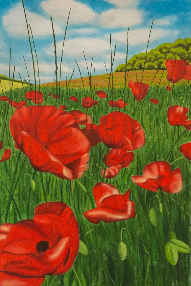 Poppy Field1