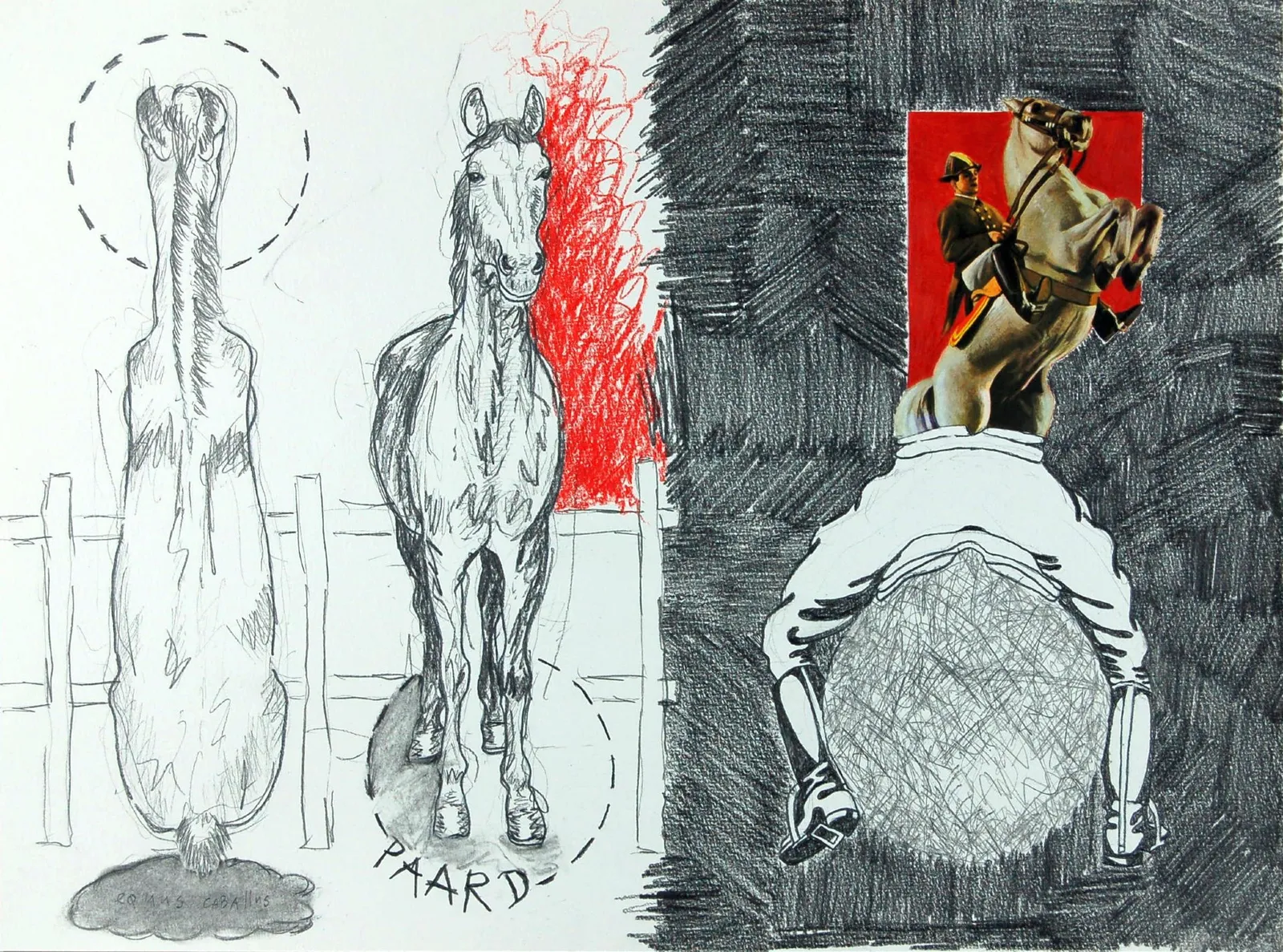 Paard I Horse