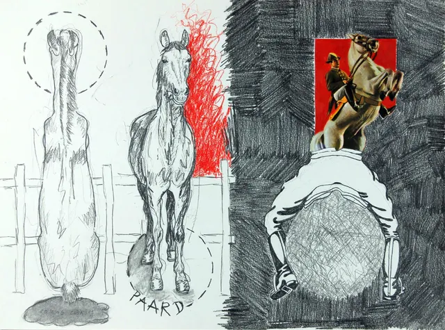 Paard I Horse