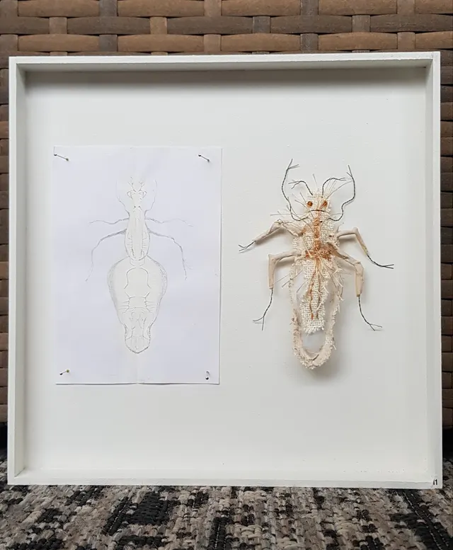 Curieus Liefhebber (nummer: 11)