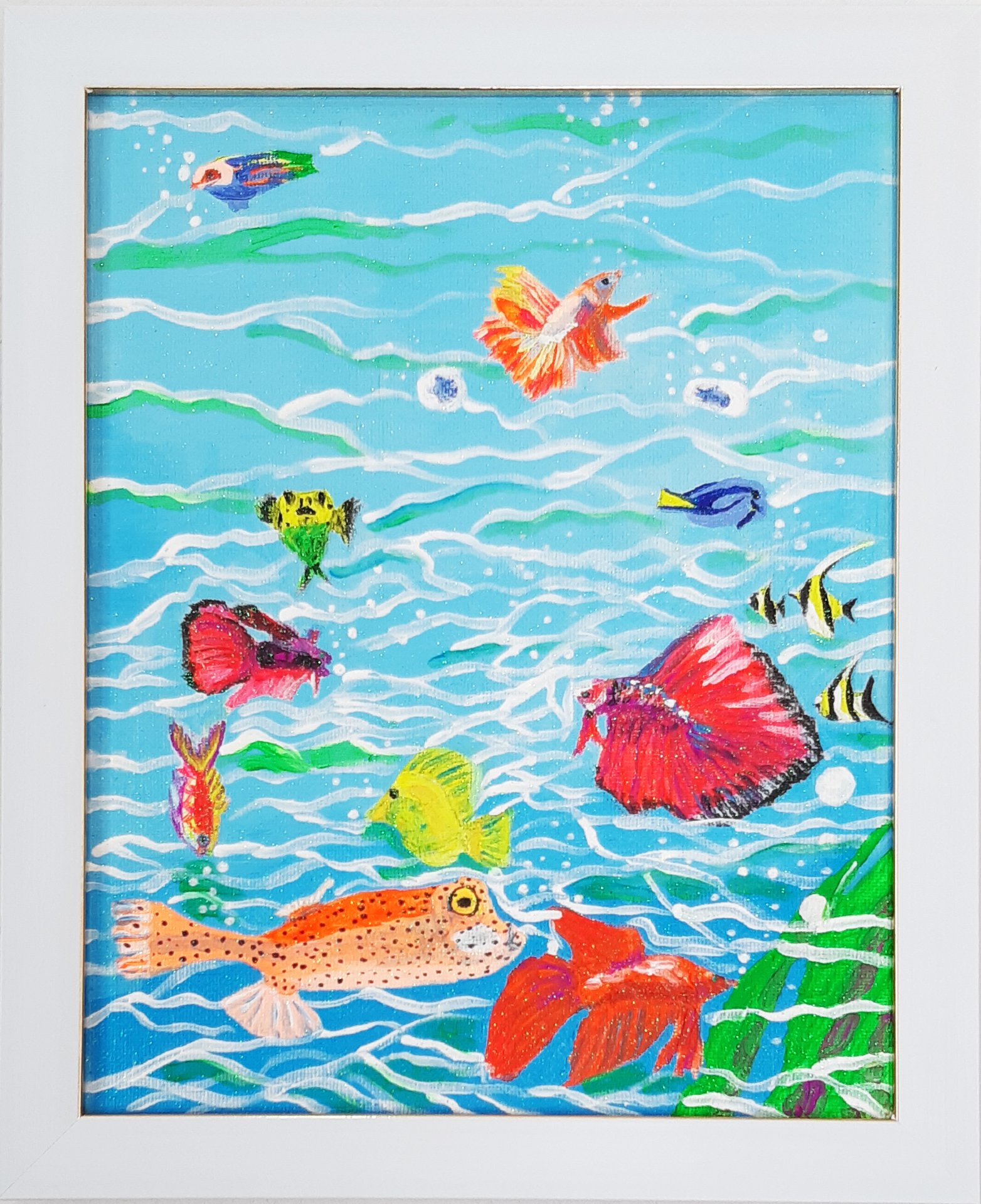 Aquarium fish