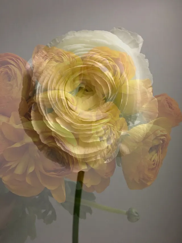 flora