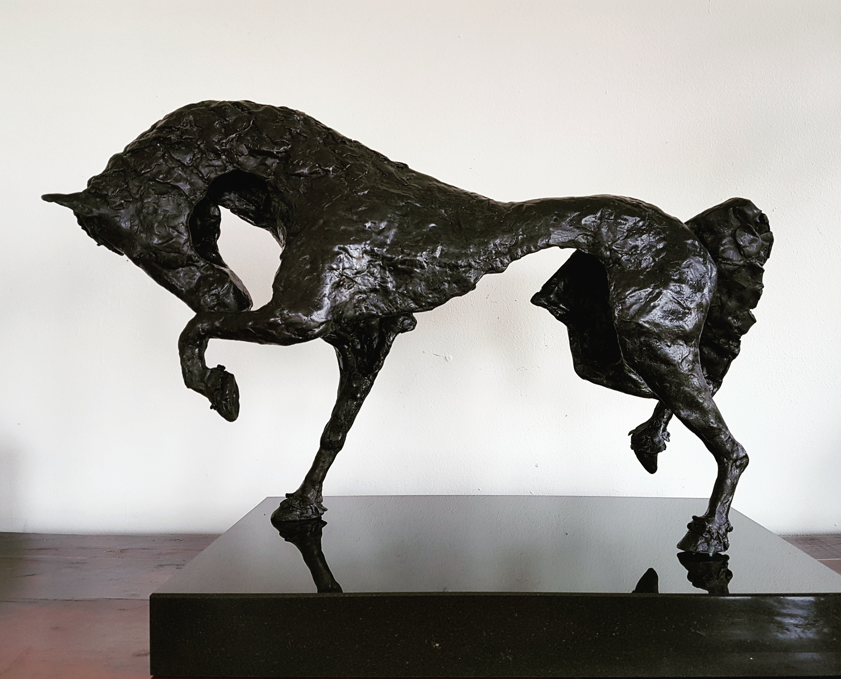 Frederik the Great - Friesian horse