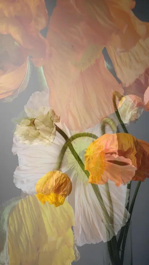 flora