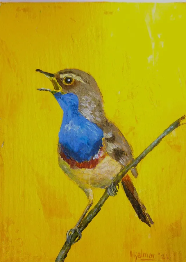 Blauwborst