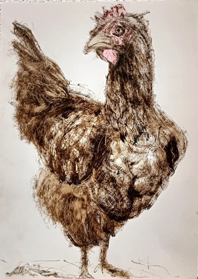 Hen-Bergenye-2024
