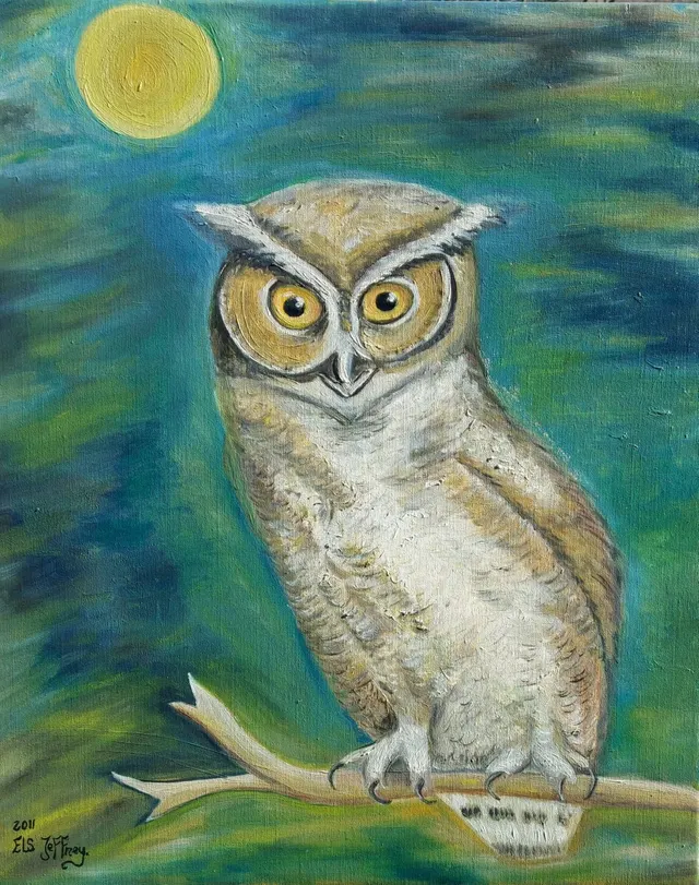 Uil in de manenschijn / Owl in the moonshine