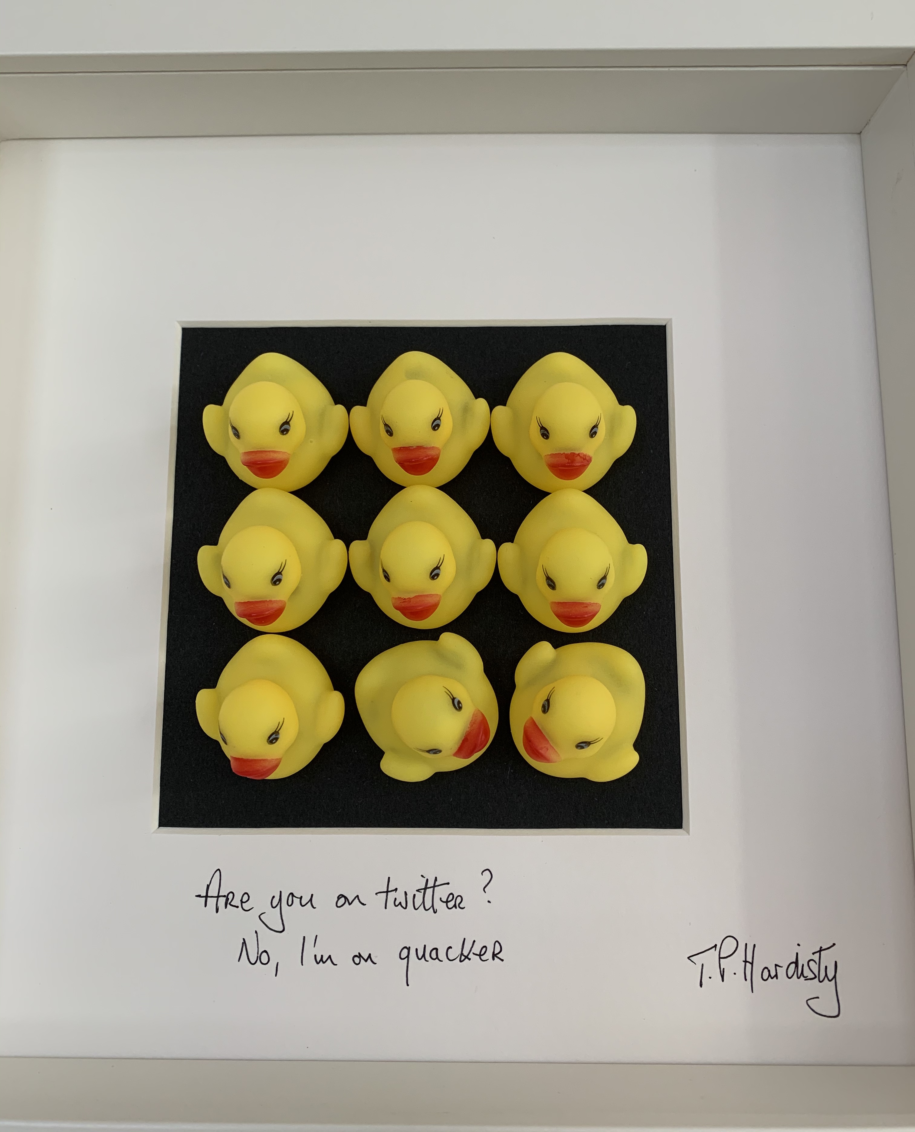 Are you on twitter? No, I'm on quacker