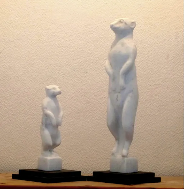 Suricates père et fils