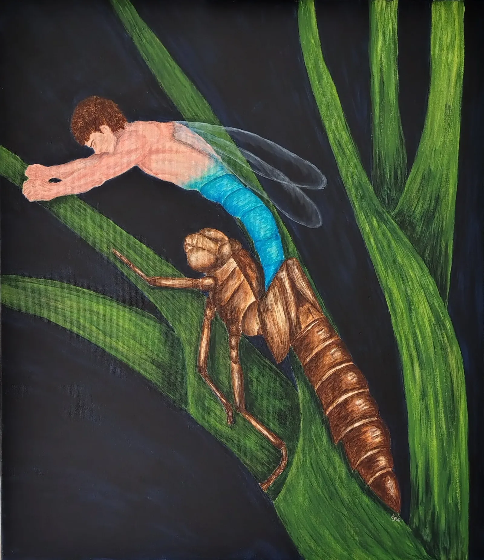Metamorphosis IV · 2026 · 60×70 cm