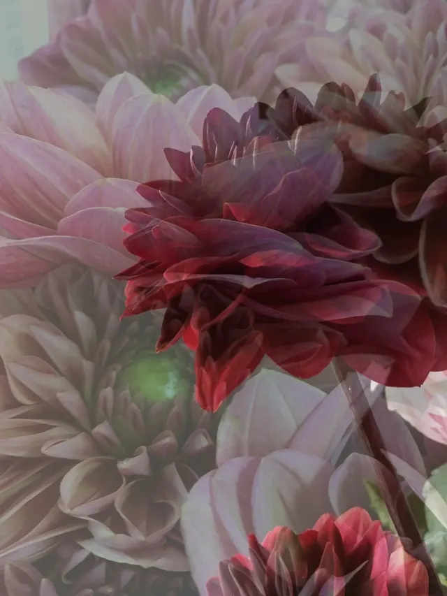 flora