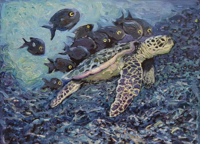 Turtle walk with fish/Schildpadwandeling met vissen