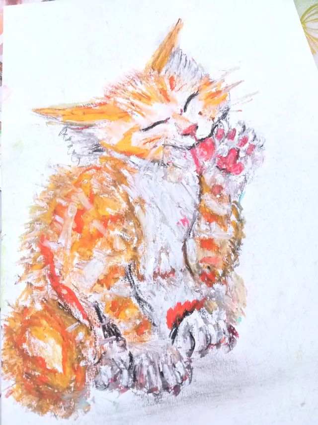 Kat grooming.