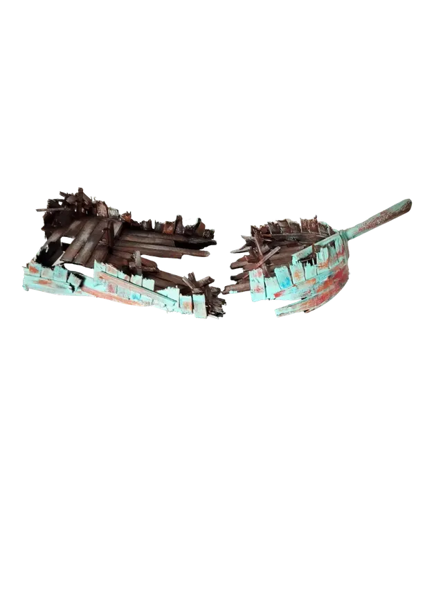 EPAVE 1