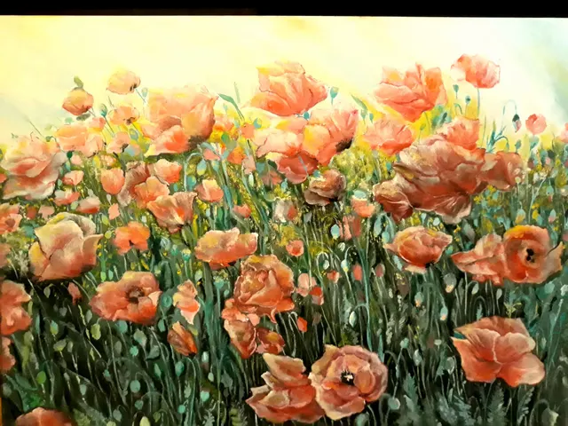 Pink poppy field
