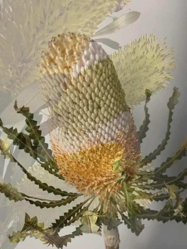 flora