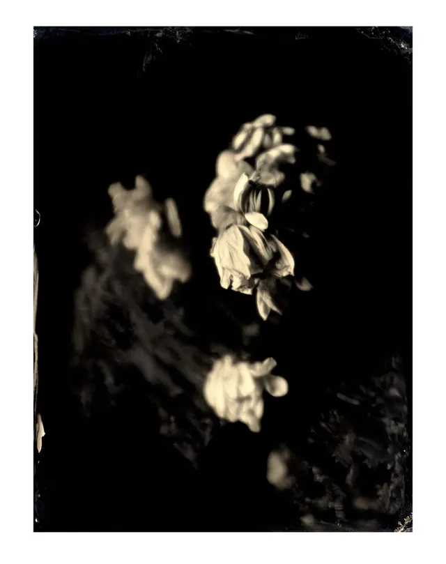 Untitled Ambrotype #33
