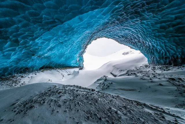 Arctic Trove