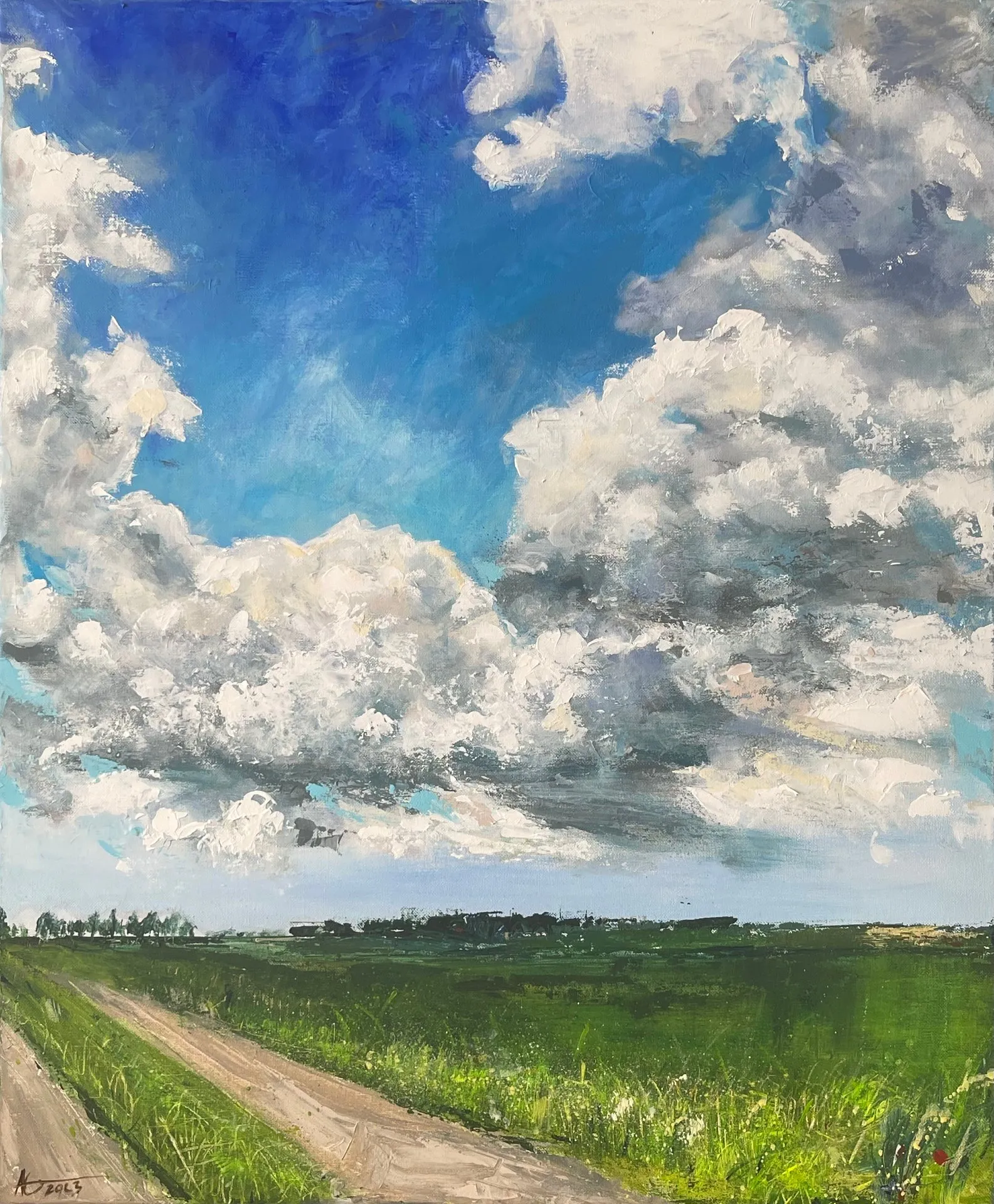 Volken boven Zwaag