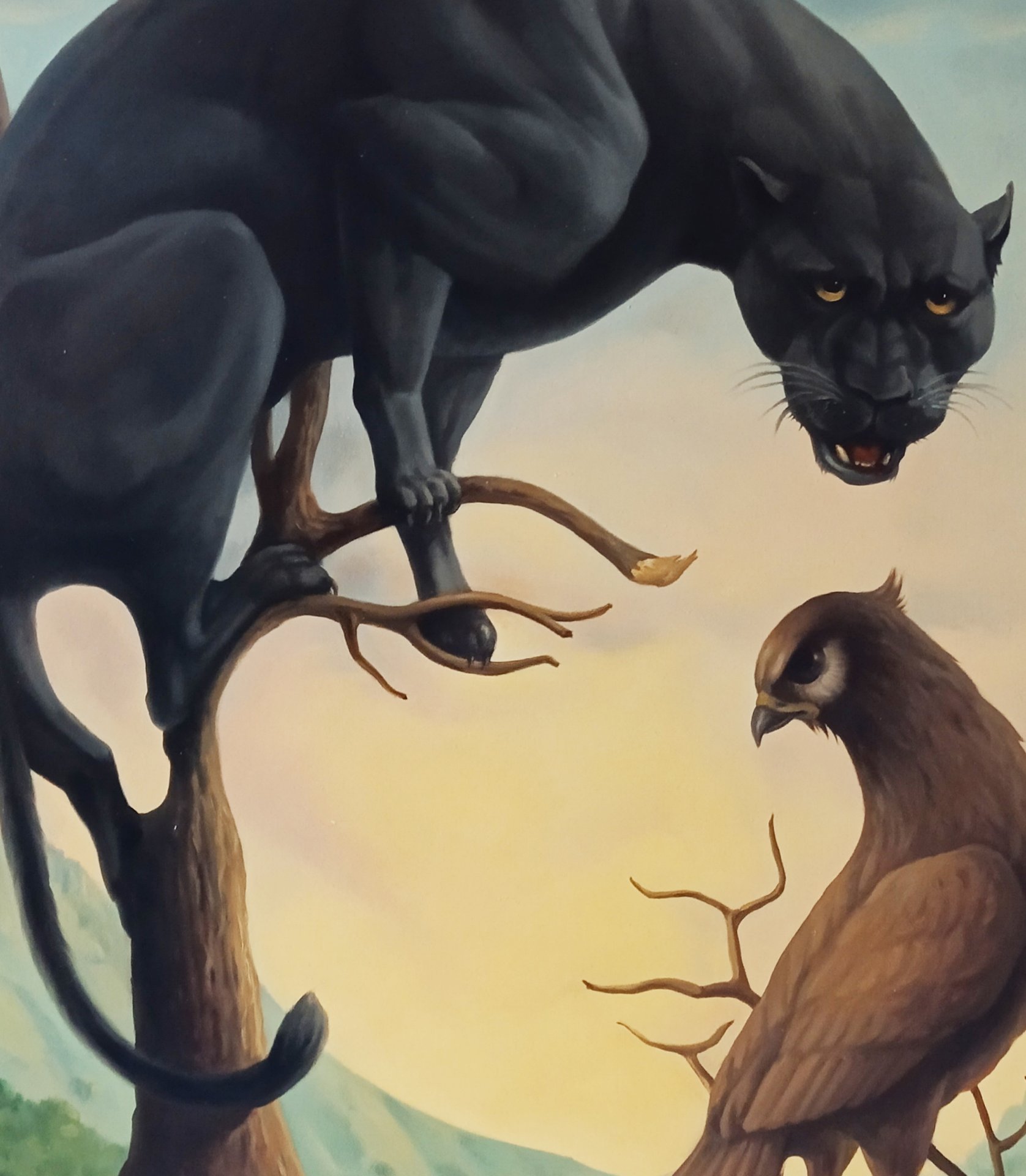 The Battle of Nature