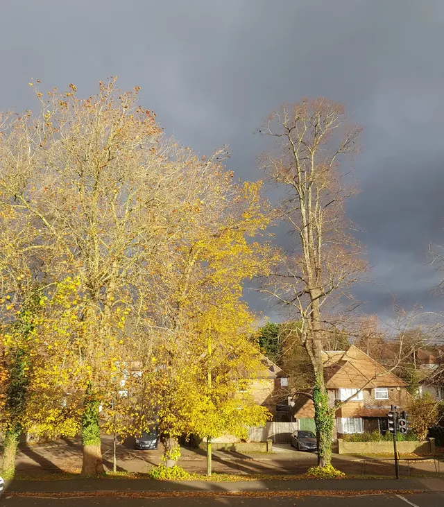 Autumn clouds