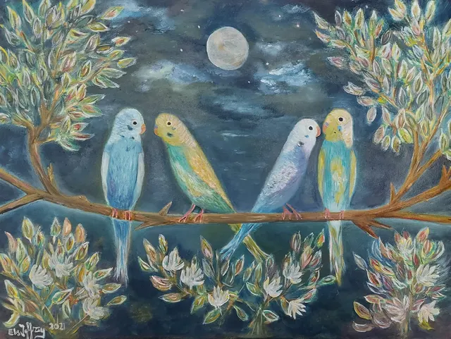 Romantiek onder de sterrenhemel / Romance under the starry sky