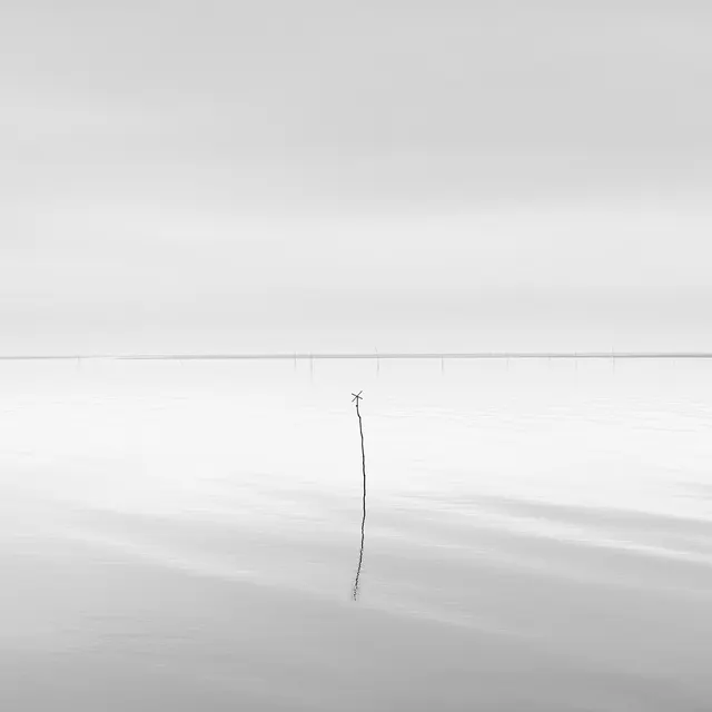 Pole, limited edition 1/5