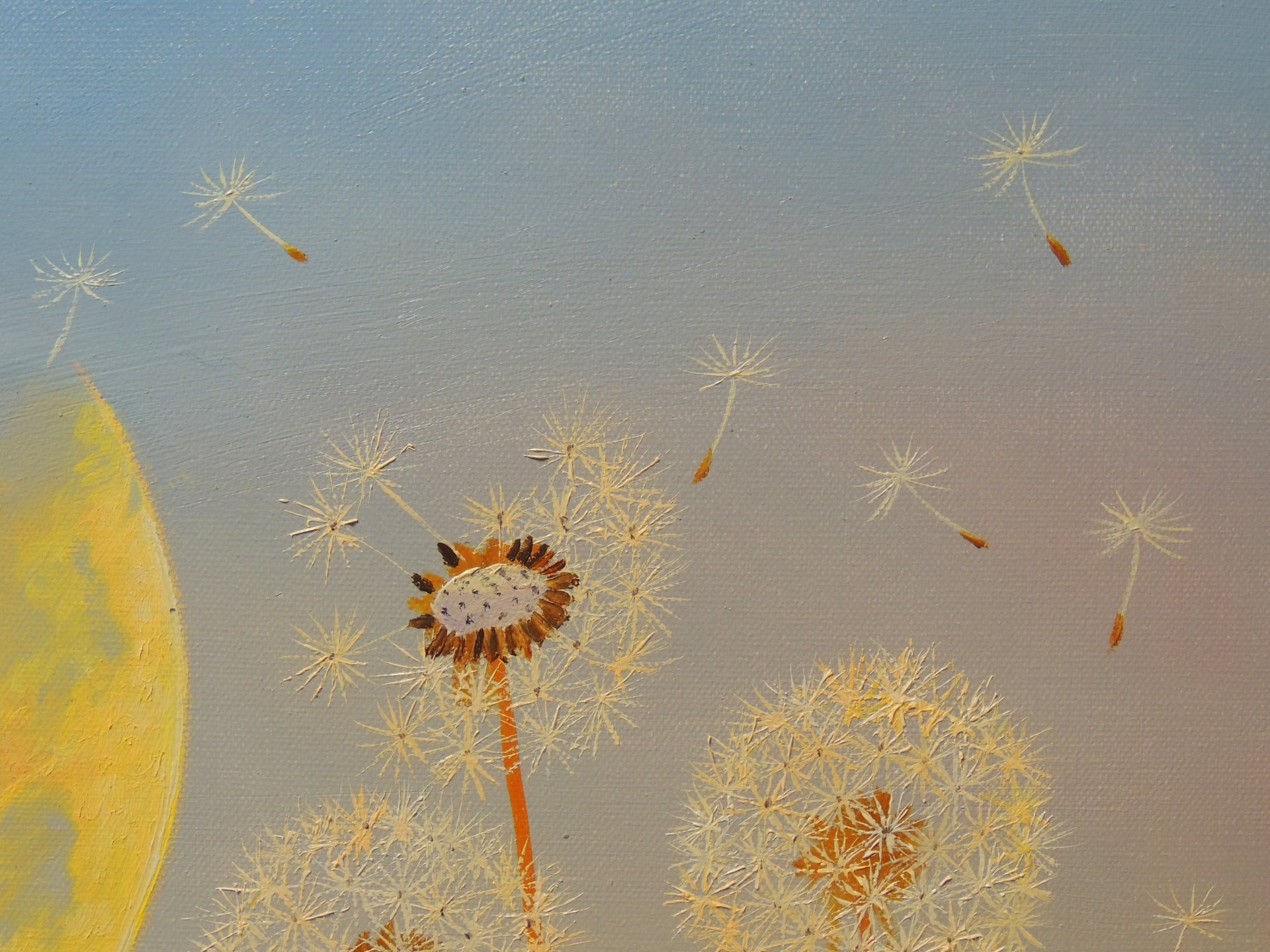 Dandelion Dreams