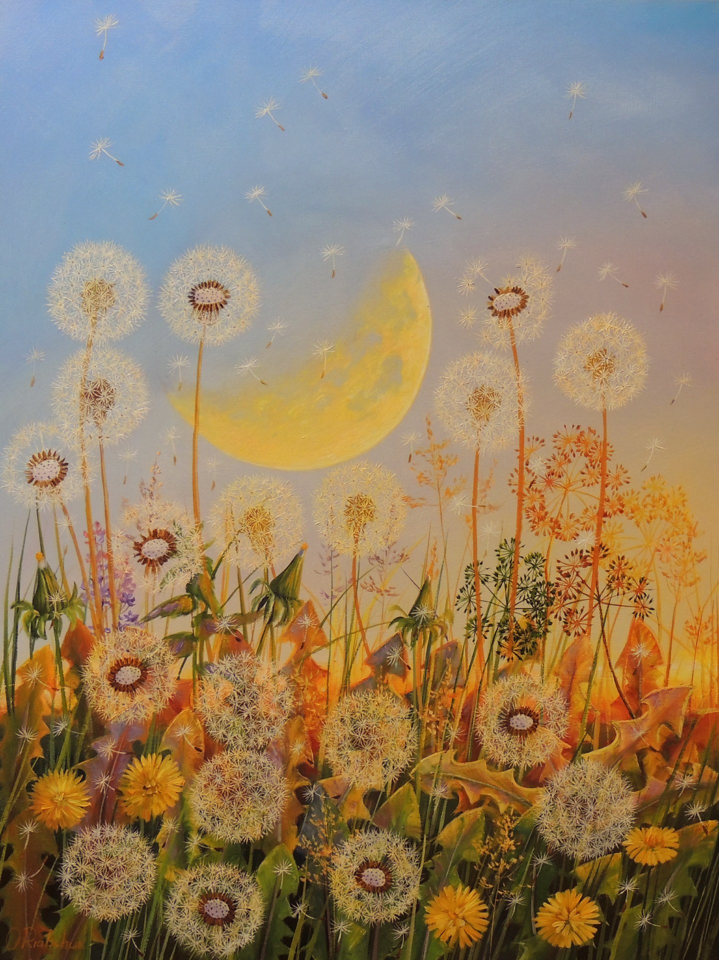 Dandelion Dreams