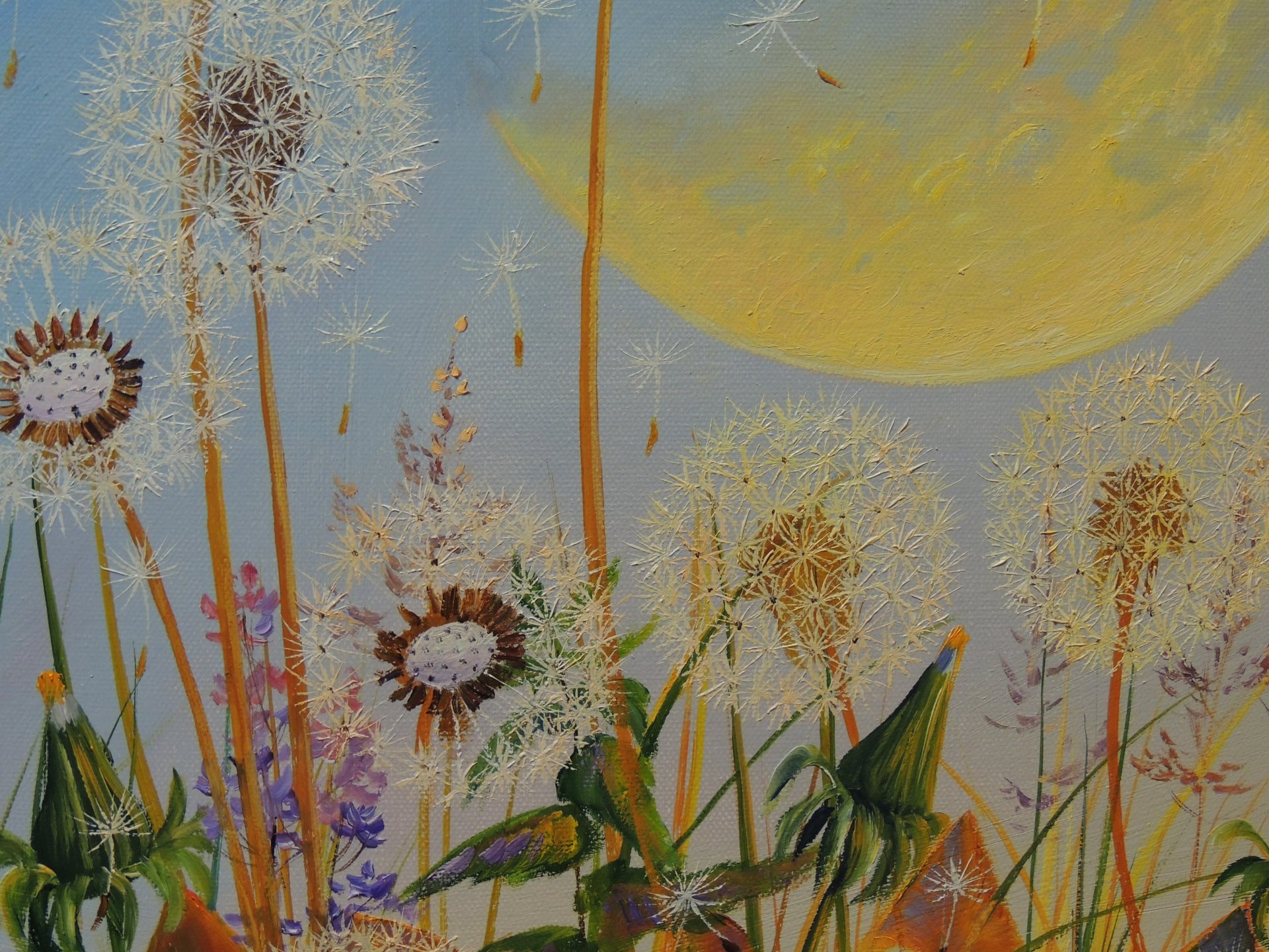 Dandelion Dreams