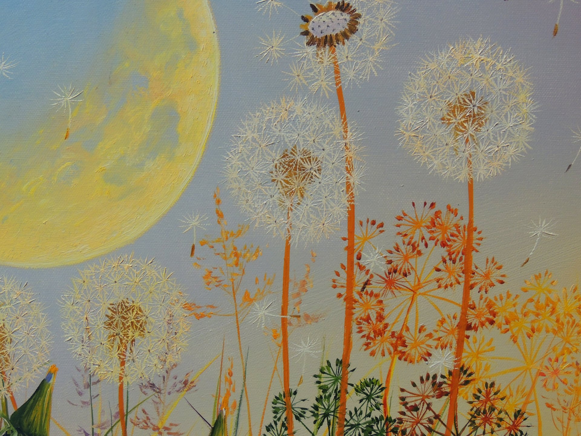 Dandelion Dreams