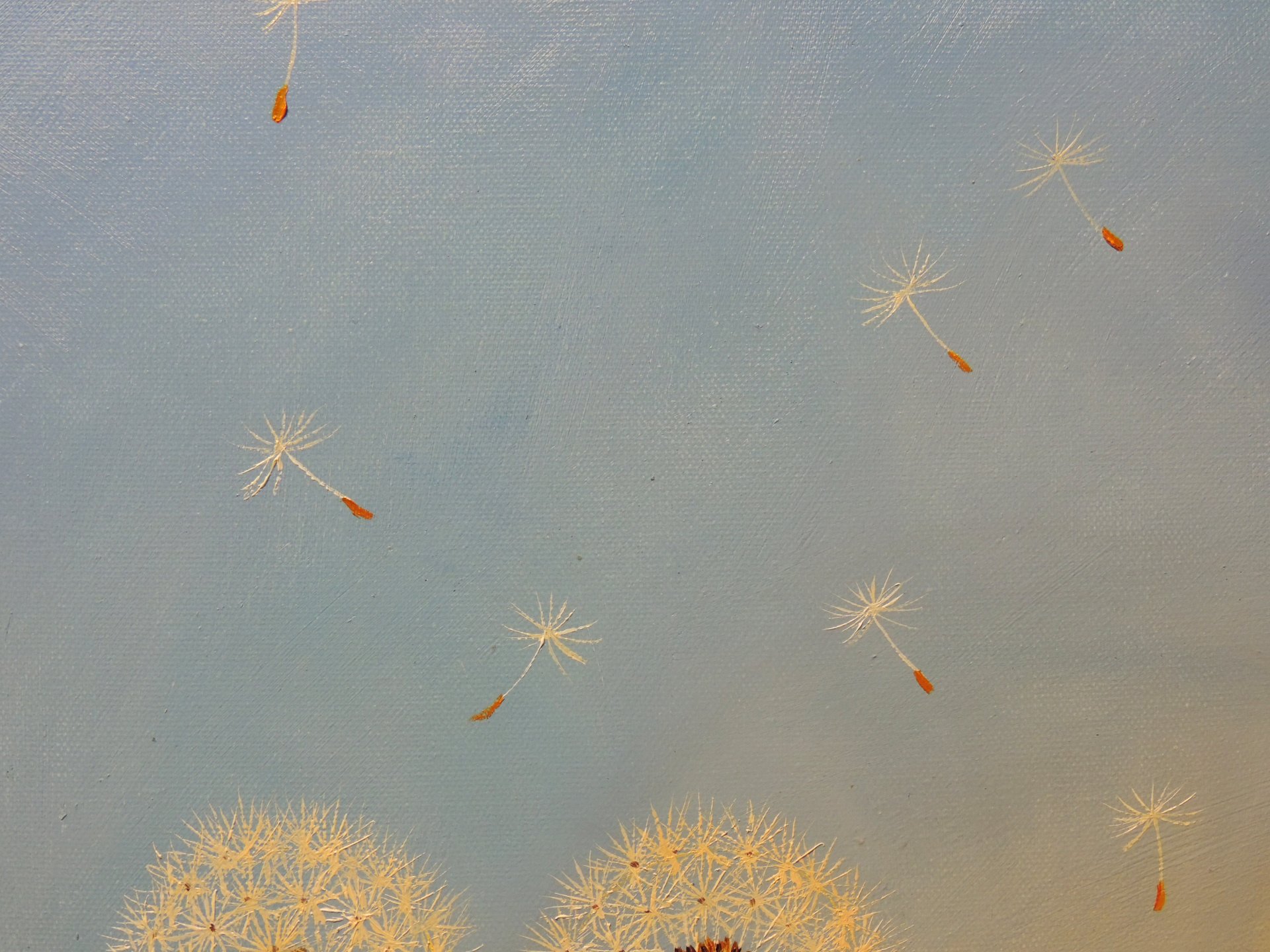 Dandelion Dreams