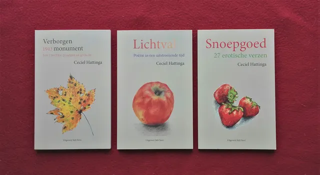 3 dichtbundels