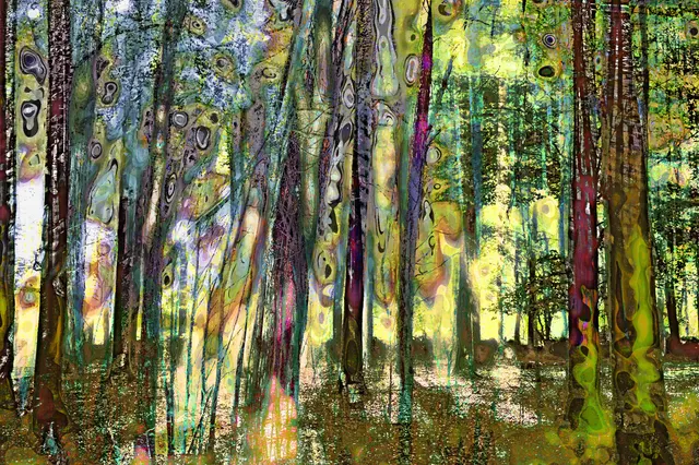 Mysterious Forrest Opus 17