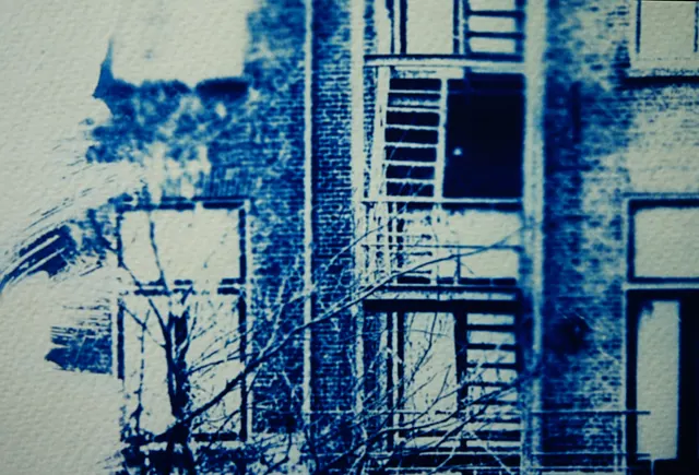 The rear window