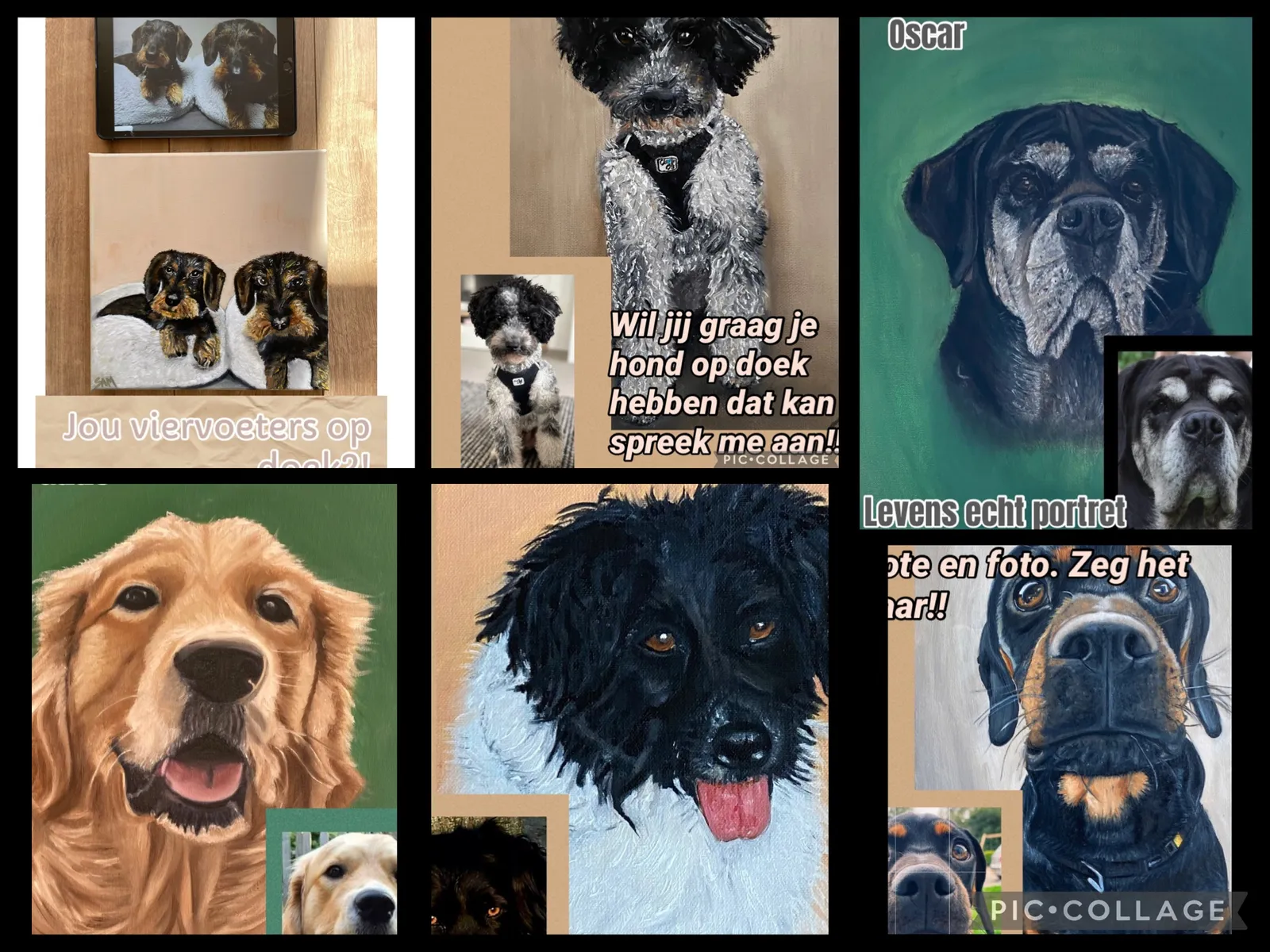 Honden in opdracht — Sam Bijl, olieverf