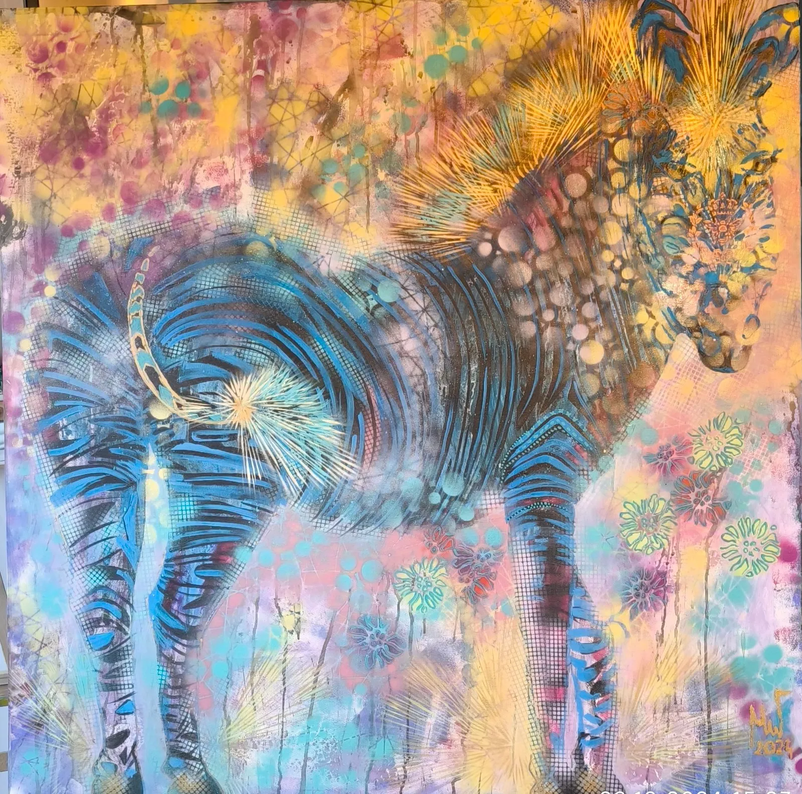 Zebra — 2