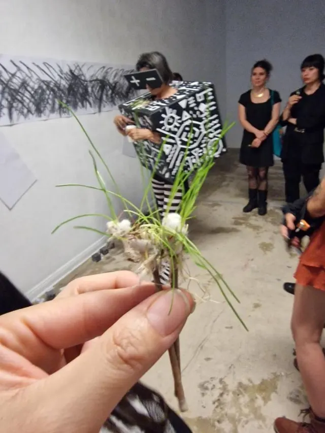 Performance art Gazon cesped