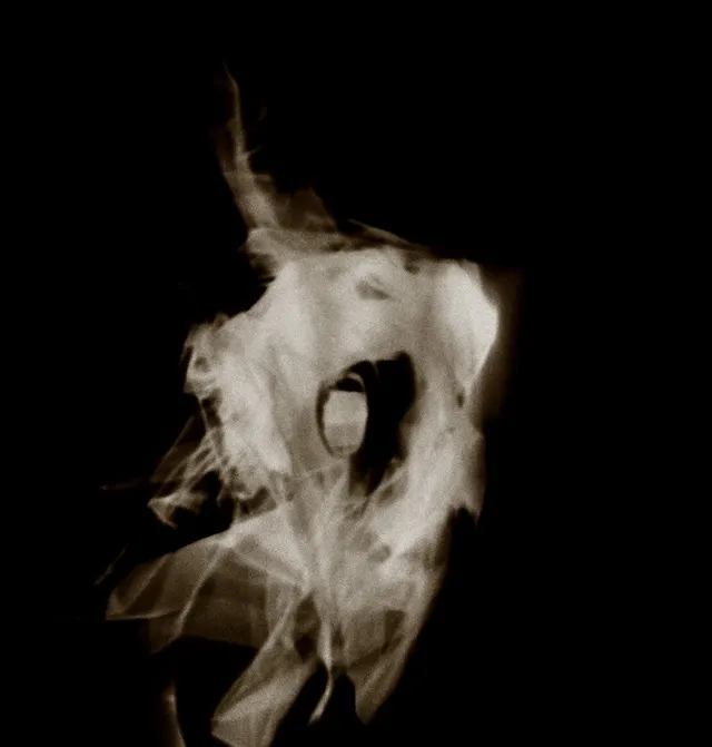 the man on fire