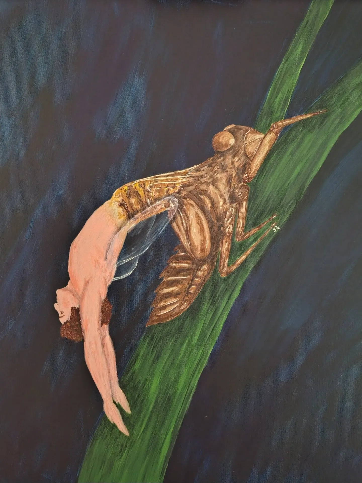 Metamorphosis V · 2026 · 50×60 cm