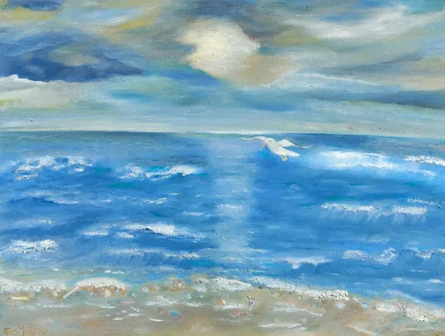 Schelpenstrand / Shell beach