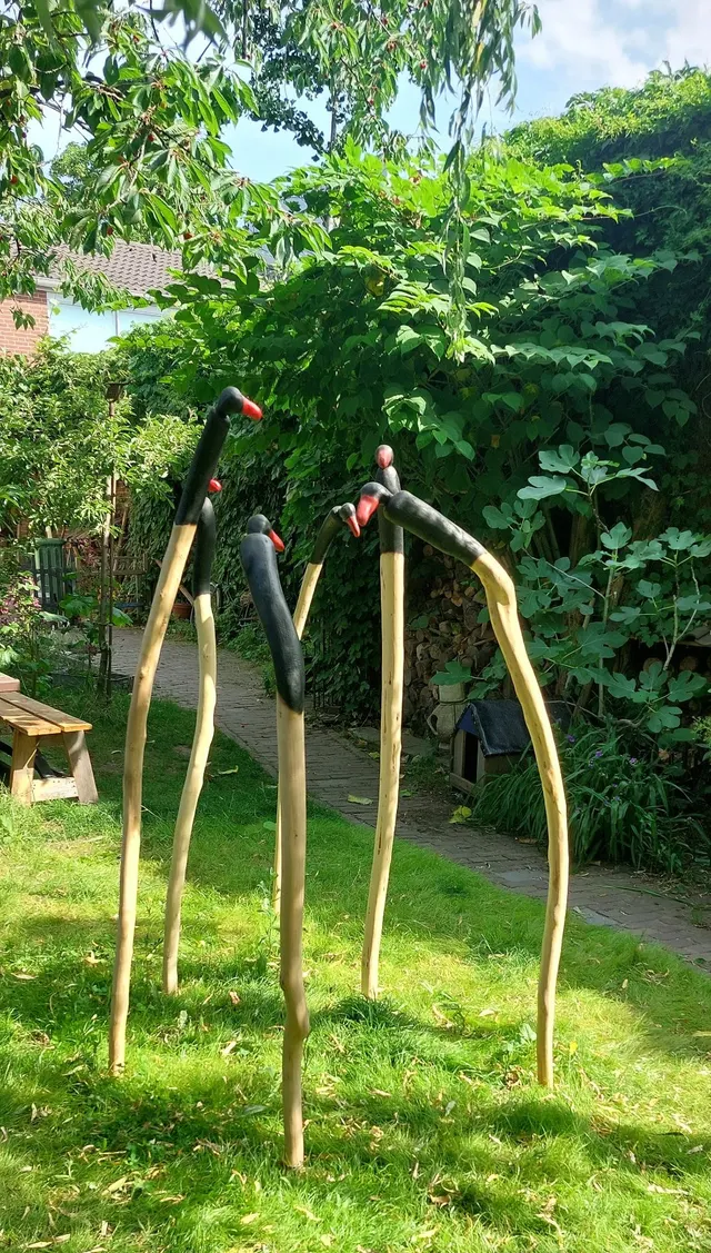strange bird