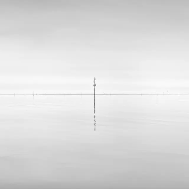 Poles I, single edition 1/1