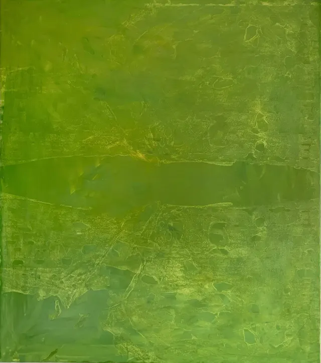 Sahara oasis